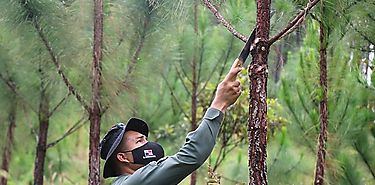 Ley 442 estimula los procesos agrcolas y forestales