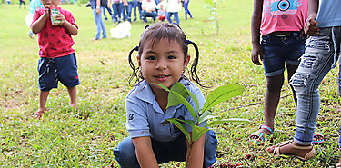 MiAmbiente y MEDUCA coordinan abordaje de la educacin ambiental en el curriculum nacional