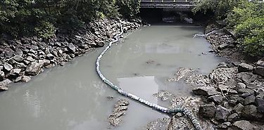 Tras 10 aos Defensora del Pueblo reactivala Direccin Nacional de Asuntos Ecolgicos