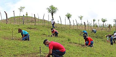 Estudiantes Graduandos debern plantar un rbol