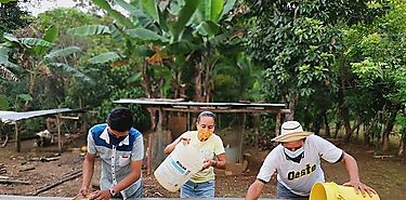 Esfuerzos por erradicar la pobreza pone en marcha la agricultura familiar en Herrera
