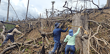 México y Panamá comparten experiencias sobre cómo combatir la tala y tráfico ilegal