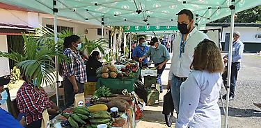 Productores de agricultura familiar de Panam Oeste recibieron equipos para instalar mercados locales