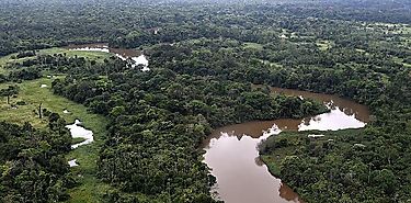 Lanzan Observatorio Regional de la Amazonia