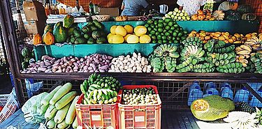 El precio de los alimentos creci un 281 por ciento en 2021