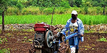 Hay necesidad de transformar los sistemas agroalimentarios