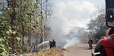 Aumentan incendios de herbazales