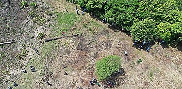 Mes de la Restauracin Forestal Darin inicia plantando ms 600 rboles