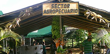 Feria de la Candelaria la vitrina del sector agropecuario en Chiriqu