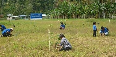 ANAM Bocas da seguimiento a jornada de reforestacin 