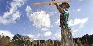 Elogia director de la FAO tendencia a produccin local de alimentos 