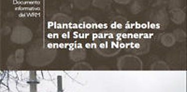 Plantaciones de rboles en el Sur para generar energa en el Norte una nueva amenaza para comunidades y bosques
