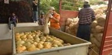 Nuevos productos podran integrarse a exportacin 