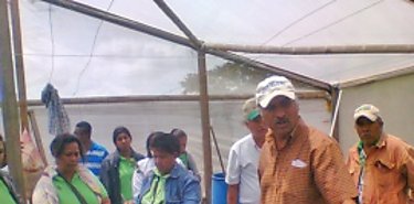 Productores de hortalizas de Herrera visitan Boquete