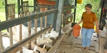 Quinto encuentro de productores ovinocaprinos