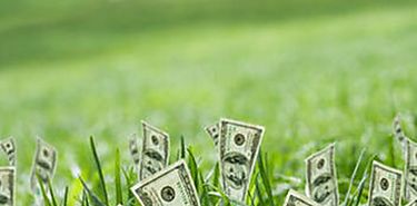 Crecimiento Global Verde 145Economa verde146 biodiversidad e 145inteligencia forestal146