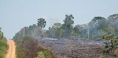 Las cuentas pendientes en deforestacin de la Amazonia brasilea