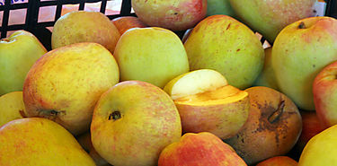 FRUIT ATTRACTION 2015