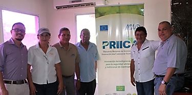 El IDIAP fortalece los sistemas locales de produccin de aguacate