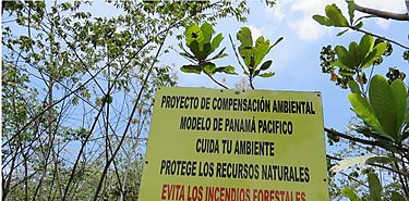 Proyecto de Compensacin Ambiental Modelo 150 Panam Pacfico 