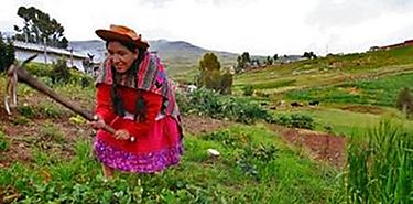 Mujeres de la agricultura familiar necesitan apoyo para cumplir su rol clave en la lucha contra el hambre
