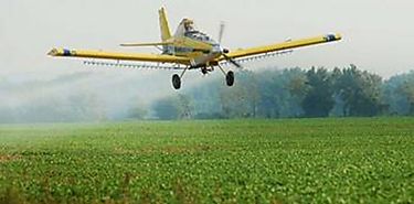 Francia prohbe las fumigaciones areas con pesticidas
