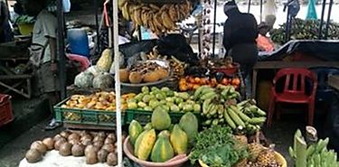 Diferencias entre agroecologa y produccin orgnica