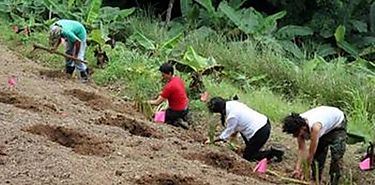 Movimiento agroecologista reta a la agricultura industrial