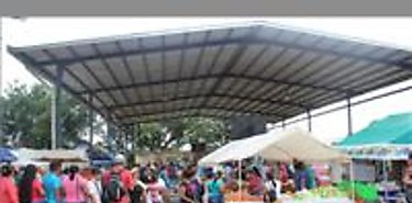 Programa de ferias del IMA tendr cambios en logstica  