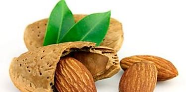 Suministro mundial de almendras a punto de colapsar debido a la gran sequa de California