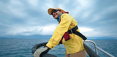 A dnde van las ballenas madre