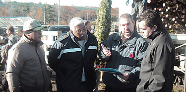Funcionarios del MIDA inspeccionaron arbolitos de navidad en Canad