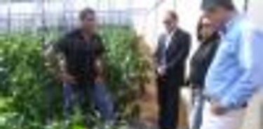 MICI en contacto con empresarios chiricanos para desarrollar plan para fortalecer sector industrial
