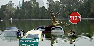 Amrica Latina es una gran vctima del cambio climtico