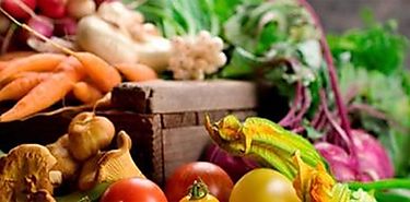 Se puede ser vegetariano sin tener carencias en la alimentacin