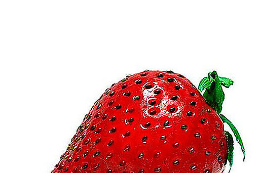 El 81  de los antioxidantes de la fresa reside en sus pepitas 