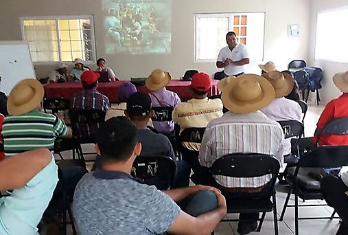 ARAP en Veraguas capacita extensionistas de SENAPAN