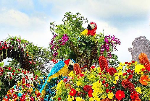 Casi 6 millones generó la Feria de las flores y el café en Boquete