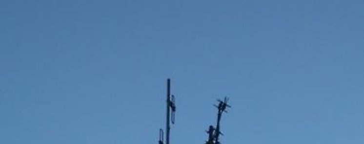 La instalacin de un sistema de comunicacin  ayudar a proteger los bosques del sector oriental del pas