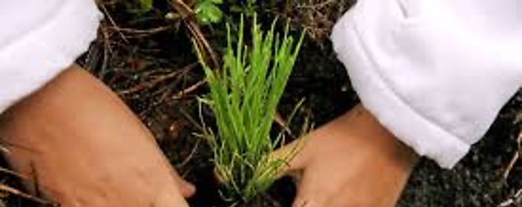 Celac aprueba declaracin especial sobre seguridad alimentaria 