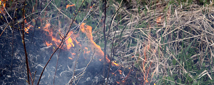 Descuido y negligencia principales causas de incendios en Panam 