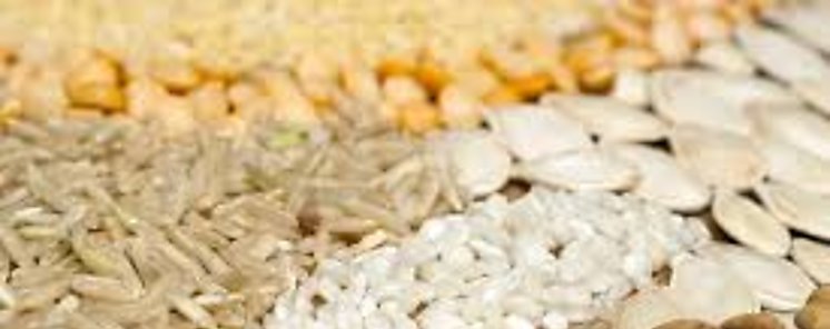 Zonas de mxima explotacin agropecuaria en el mundo 