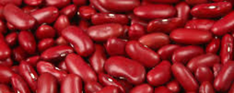 En apuros productores de frijoles en Panam