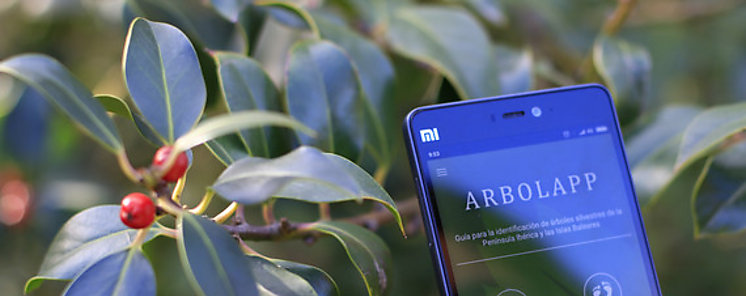 La aplicacin para identificar rboles Arbolapp lanza su web 