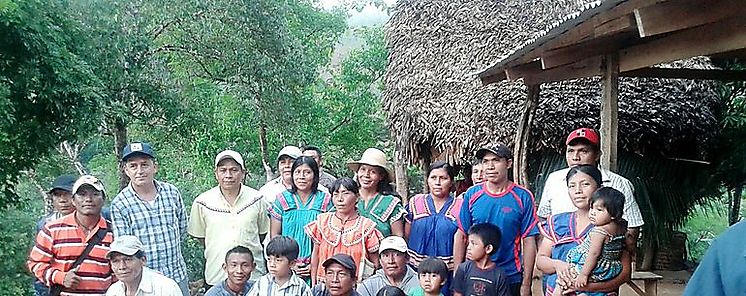 Productores y tcnicos Guna Yala realizarn gira de intercamibio con la Comarca Ngab Bugle