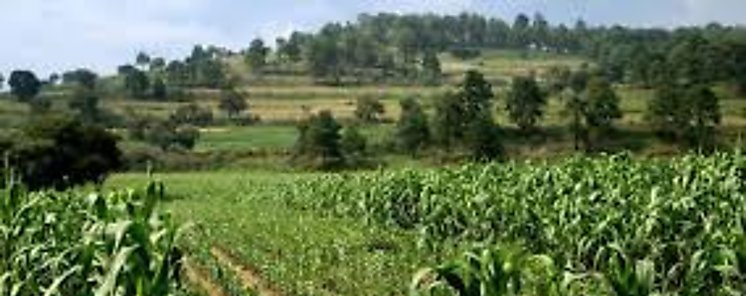 Productores presentaron sus prioridades
