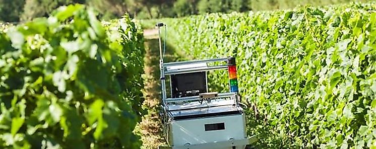 VineRobot II nuevo aliado para el sector vitcola internacional