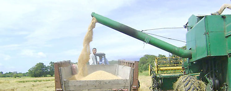 Agricultura parte esencial de solucin del cambio climtico