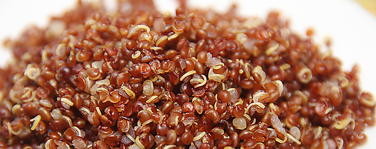 La reina de la nutricin la quinua boliviana 