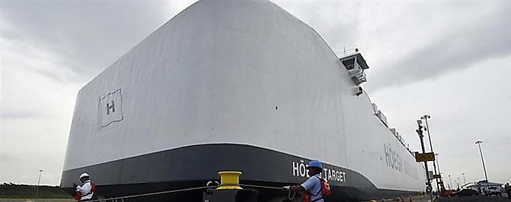 Encuesta Pecuaria inicia el 16 de septiembre en todo el país Encuesta Pecuaria inicia el 16 de septiembre en todo el país